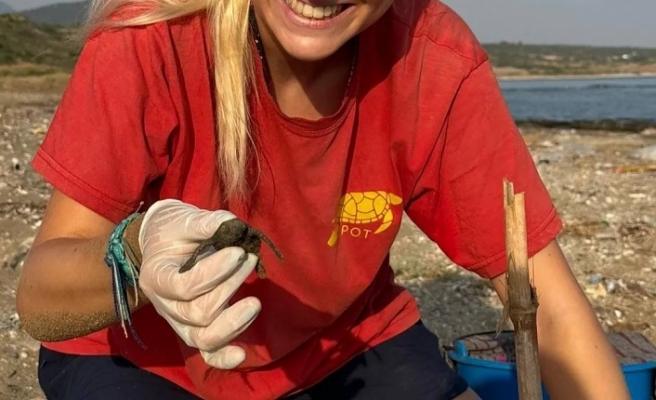 Yavru kaplumbağa sevinci: İlk 2024 yavruları Mersinlik Halk Plajı'nda bulundu