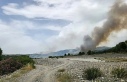 Muğla'nın Milas ilçesinde orman yangını...