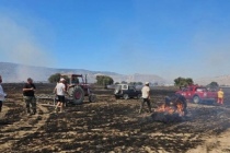 Çınarlı bölgesinde çıkan yangında oluşan zarar belli oldu: Ağaçlar, arpa, buğday, balya ve anızlar yandı