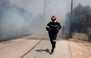 Yunanistan'ın Attiki bölgesindeki yangında...