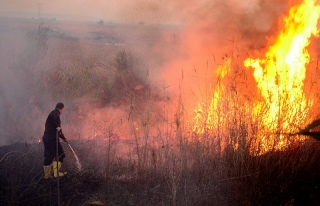 Hindistan'da Yangın: 9 Ölü